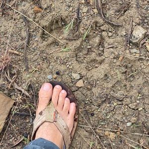 Meet your Posher, Walter